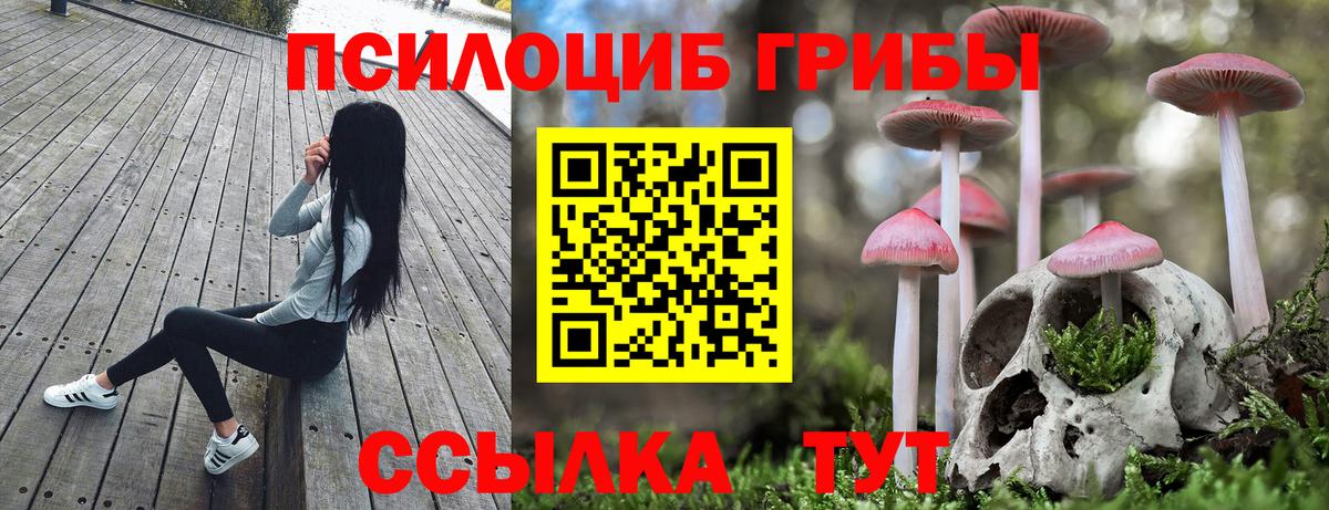Псилоцибиновые грибы MAGIC MUSHROOMS Грязи