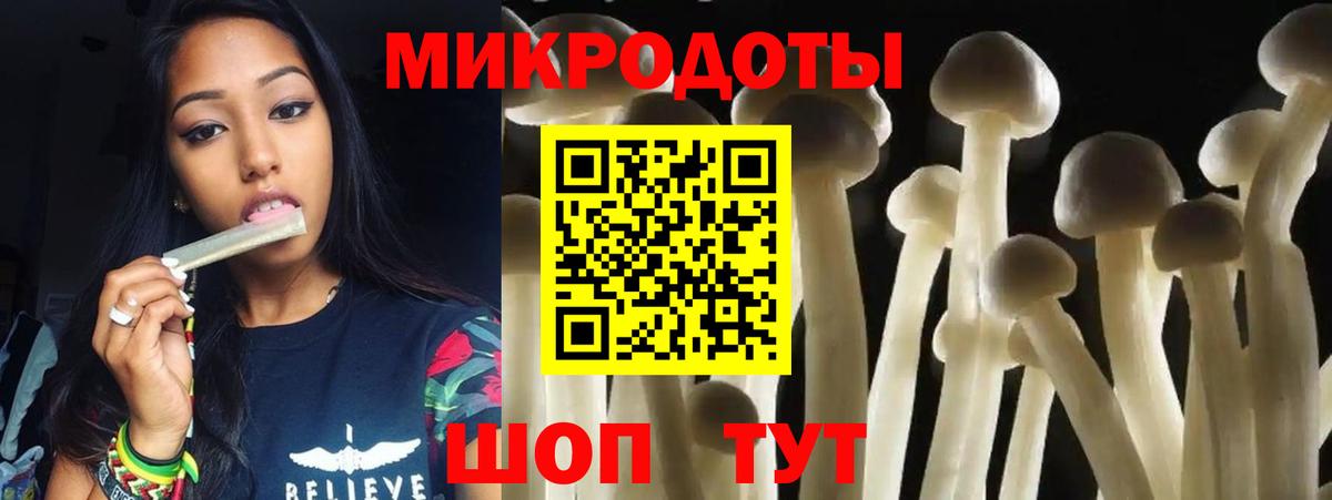 Грязи  Псилоцибиновые грибы прущие грибы  Вход с VPN 